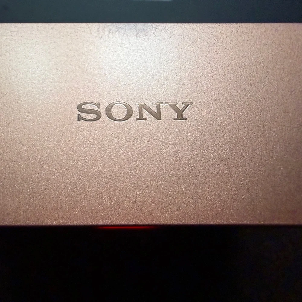 Sony WF-1000XM3